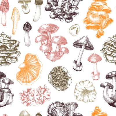 Straw mushroom texture design. Edible fungus background. Fungal protein, mycoprotein source. Edible mushroom seamless pattern. Healthy food and plant-based meat substitutes illustration for packaging
